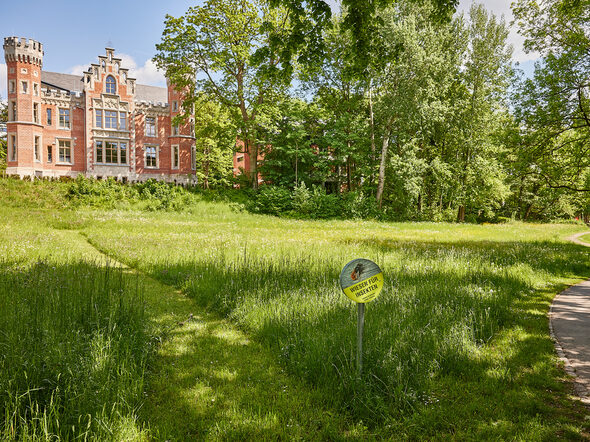 Eine Wiese im Ketschendorfer Park, im Hintergrund das Schloss Ketschendorf