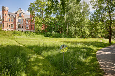 Eine Wiese im Ketschendorfer Park, im Hintergrund das Schloss Ketschendorf