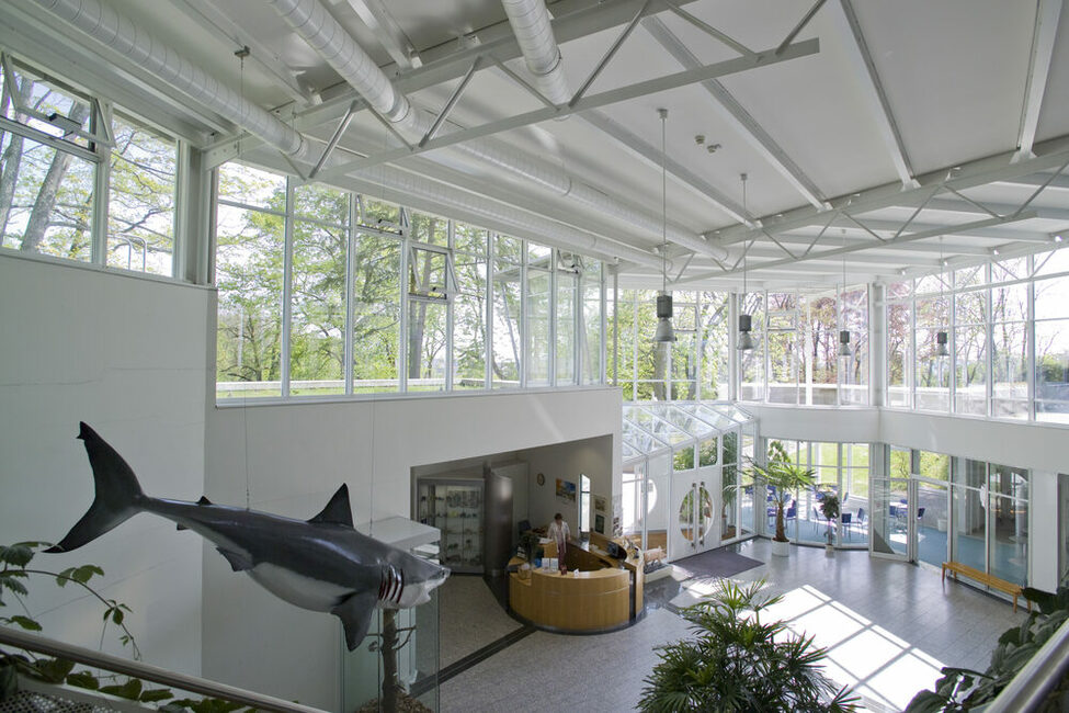 Foyer des Naturkundemuseums