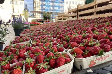 Schälchen mit Erdbeeren in der Marktauslage