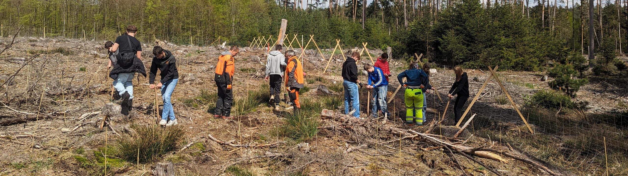 Schüler*innen pflanzen, im Zuge der Green Deal Baumpflanzaktion, gemeinsam mit dem Grünflächenamt neue Bäume im städtischen Wald.