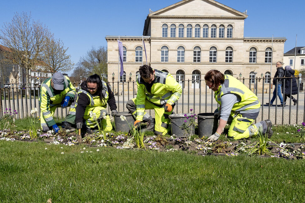 Die Mitarbeitenden des Grünflächenamtes appellieren: Hier ist kein Hundeklo.