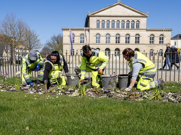 Die Mitarbeitenden des Grünflächenamtes appellieren: Hier ist kein Hundeklo.