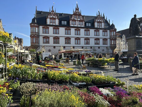 Auch eine Vielzahl an Blumen wird auf dem Wochenmarkt angeboten.