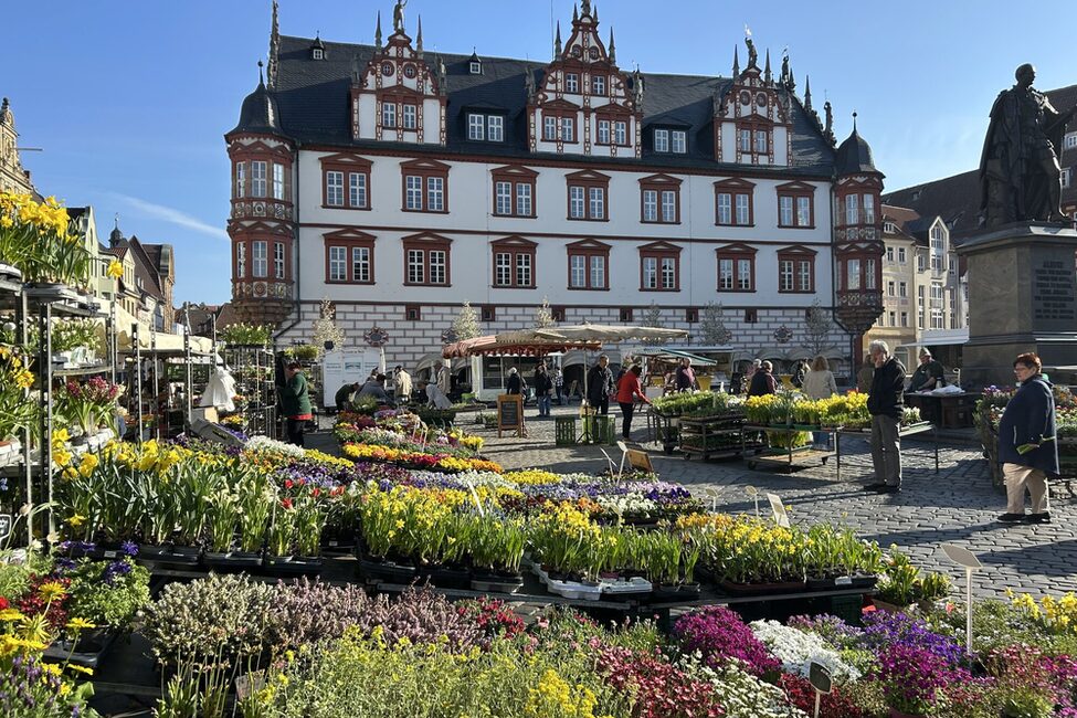 Auch eine Vielzahl an Blumen wird auf dem Wochenmarkt angeboten.