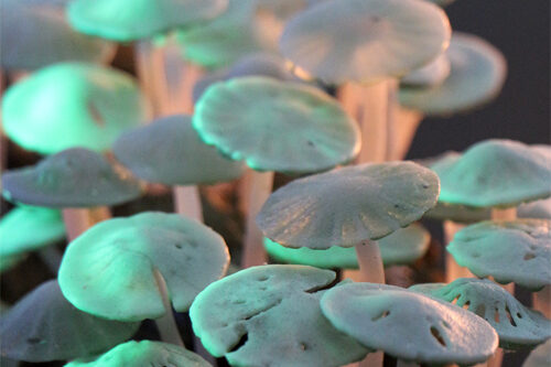 Leuchtende Pilze aus Glas: Silent Cry von Iris Haschek