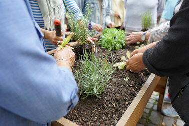 eine Gruppe bepflanzt das Hochbeet am Mehrgenerationenhaus in Coburg