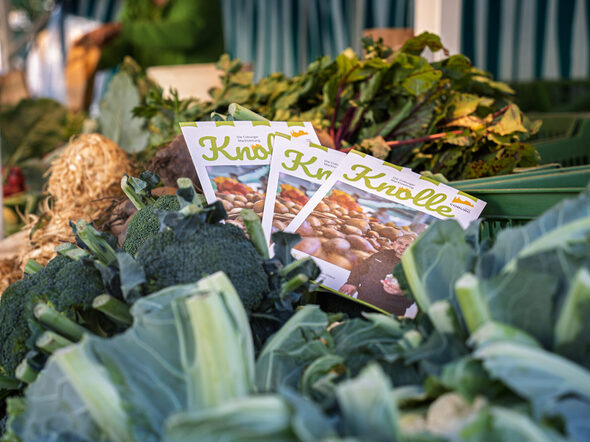 Sommerausgabe der Knolle 2025