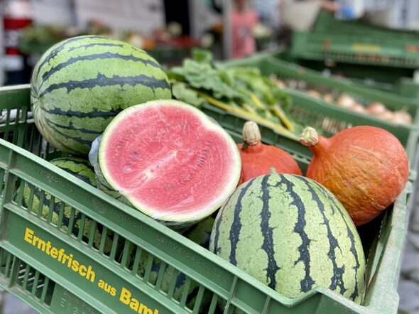 Wassermelonen aus regionalem Anbau