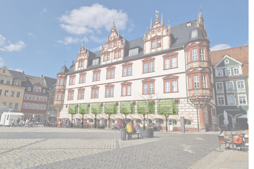 Vor dem Stadthaus sollen Platanen gepflanzt werden. Das Bild dienst ausschließlich der Illustration.