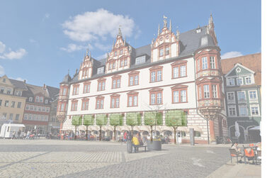 Vor dem Stadthaus sollen Platanen gepflanzt werden. Das Bild dienst ausschließlich der Illustration.