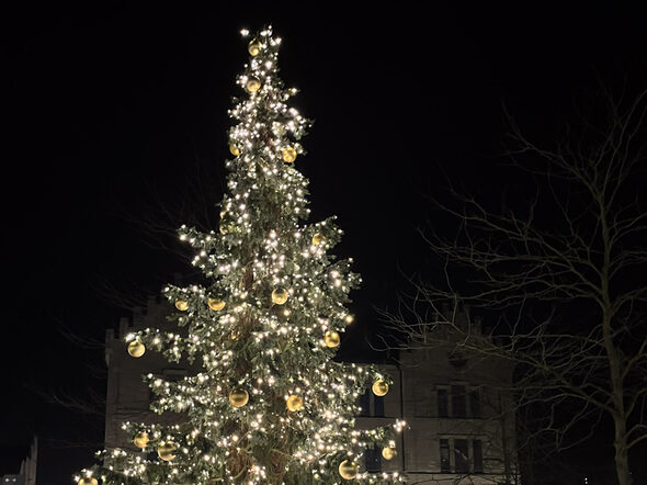 Der Weihnachtsbaum am Albertsplatz
