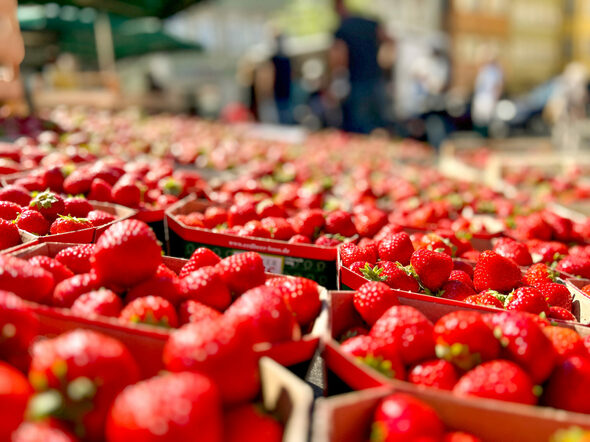 Erdbeeren werden auf dem Coburger Markt verkauft