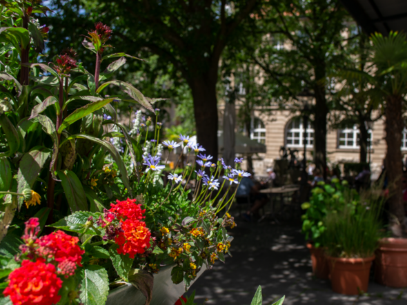 Blumen und Bäume wirken sich positiv auf das Stadtklima aus.