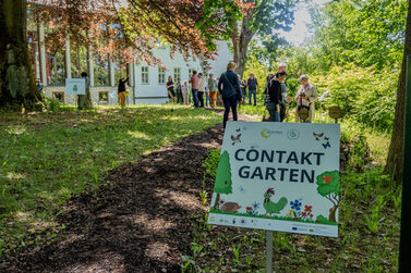 Blick in den Contaktgarten