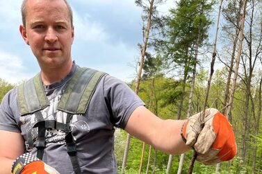 Wegen der Borkenkäferschäden ist viel aufzuforsten.