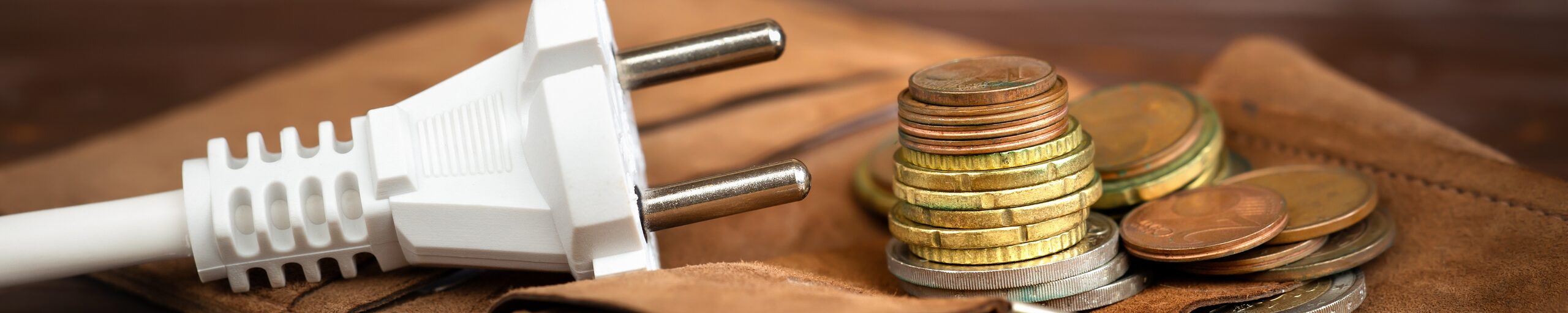 Electrical,Plug,With,A,Wallet,And,Euro,Money,Coins.,Saving