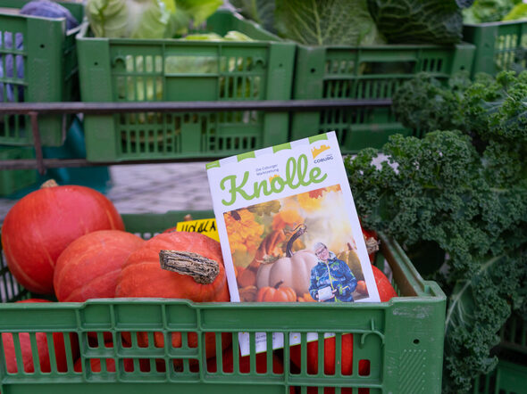 Die 11. Ausgabe der Marktzeitung liegt jetzt an den bekannten Auslagestellen.