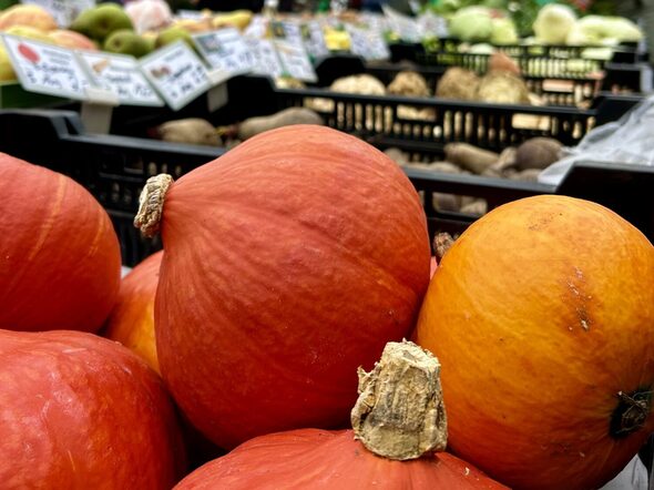 Beim Kürbismarkt auf dem Coburger Marktplatz dreht sich alles um das Herbstgemüse.