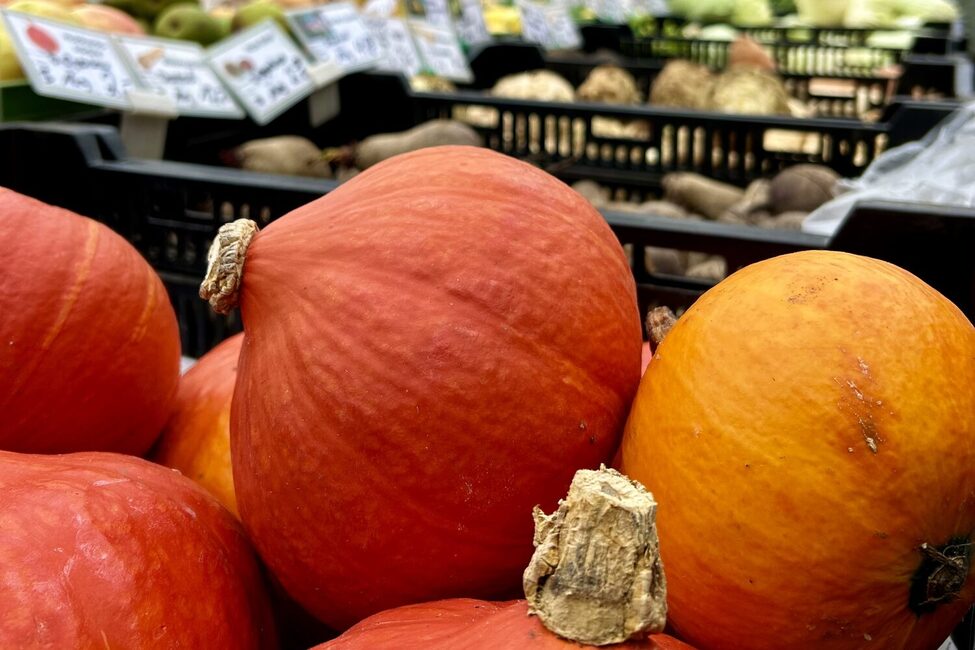 Beim Kürbismarkt auf dem Coburger Marktplatz dreht sich alles um das Herbstgemüse.