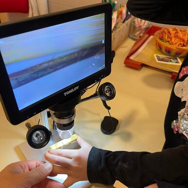 Das LCD Mikroskop bietet die Möglichkeit Dinge genauer unter die Lupe zu nehmen