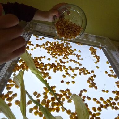 Der Einsatz von Naturmaterialien regt die Sinne an, unterstützt die Fein- und Grobmotorik sowie die Kreativität