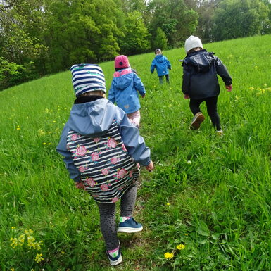 Bei unseren Ausflügen in die Natur haben die Kinder die Möglichkeit die Umgebeung mit allen Sinnen zu erkunden