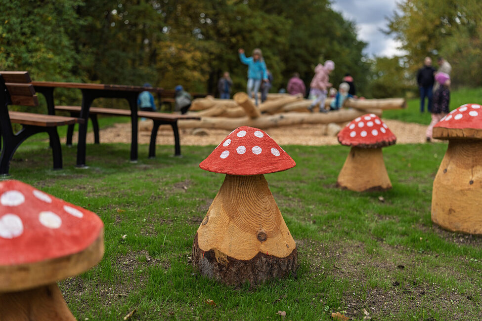Naturspielplatz Scheuerfeld: Holzpilze