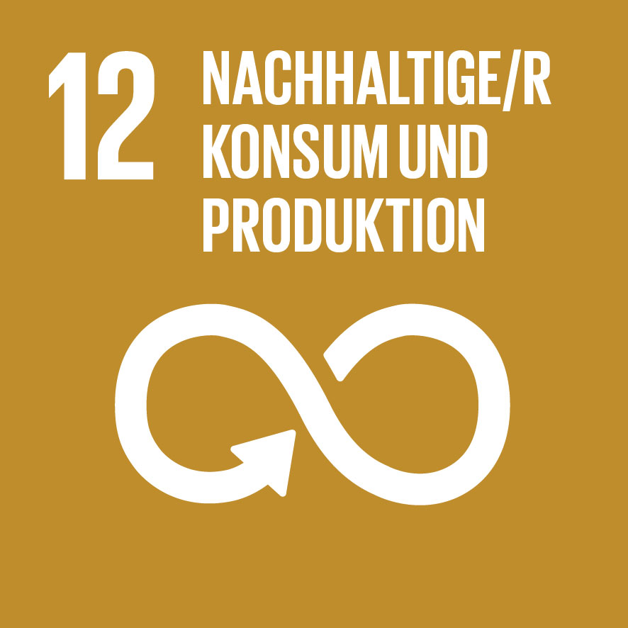 SDG Ziel 12