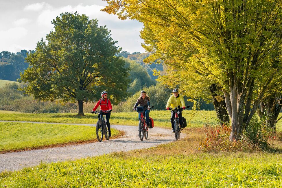 Three,Happy,Senior,Adults,,Riding,Their,Mountain,Bikes,In,The