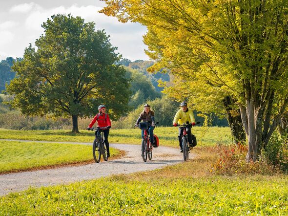 Three,Happy,Senior,Adults,,Riding,Their,Mountain,Bikes,In,The