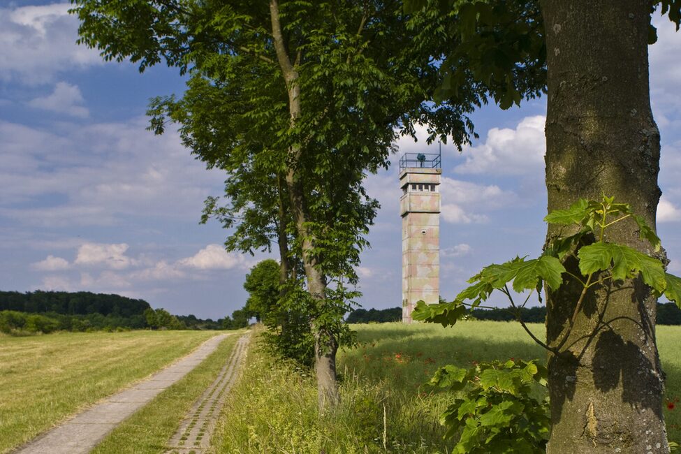 Foto Grenzturm, Iron Curtain Trail, Europa, Deutschland, Thueringen, Eichsfeld, bei Katharinenberg, ehemalige innerdeutsche Grenze, deutsch deutsche Grenze, Grenze, Grenzturm, Turm, Wachturm, Grenzwachturm, Fuehrungsturm, Grenzsteifen, Todesstreifen, verbluetes Rapsfeld, Grenzwanderweg, Grenzradwanderweg, Wandern, Grenzstreifen, Kontrollweg, Plattenweg.