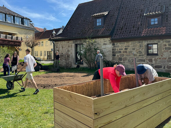 Anlegen Färbergarten