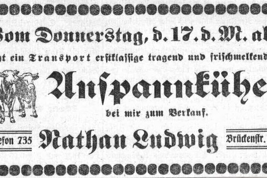 Zeitunganzeige der Viehhandlung Ludwig